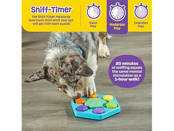 Brightkins Spin & Seek Hexagon Treat Puzzle