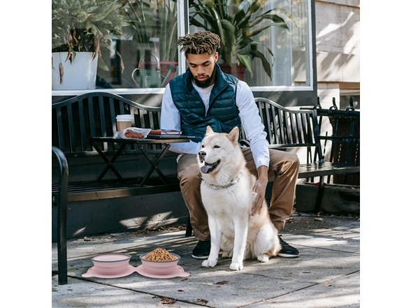 Folding Silicone Pet - Water and Feeding Bowl