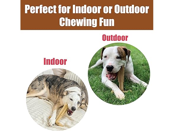 SPOT Bam-Bones Plus Coffee Wood T-Bone Dog Chew Toy