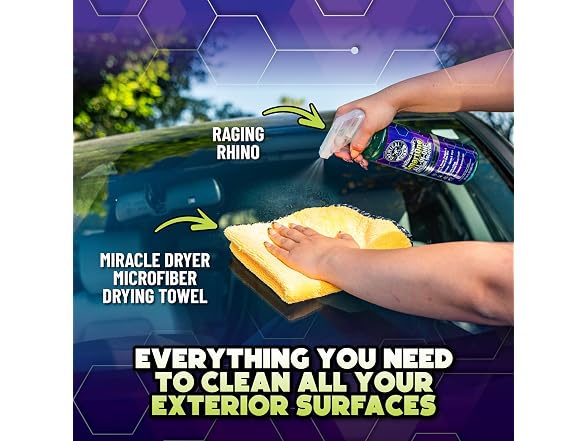 Chemical Guys Raging Rhino Detailer Gal