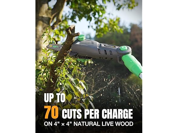 WORKPROX Cordless Pole Saw with Battery