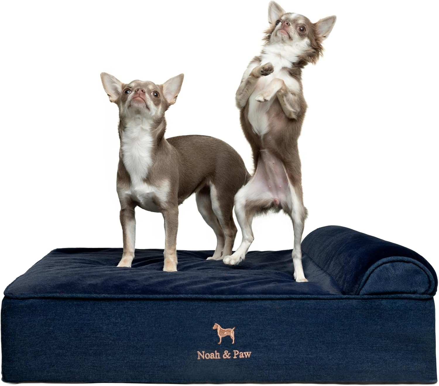 NOAH & PAW Orthopedic Dog Beds- Medium - Gallery 14