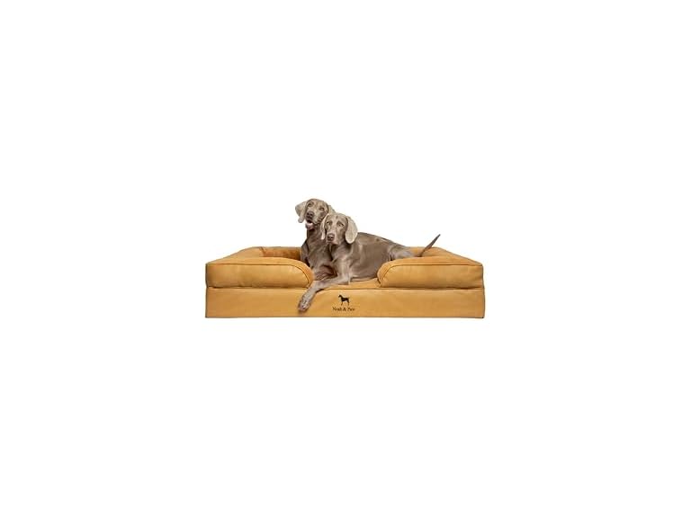 NOAH & PAW SO-LE-CA-XXL XXL NOAH & PAW Dog Bed - Sofa 