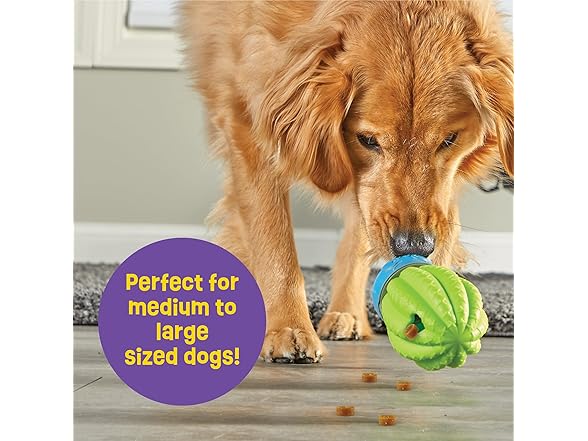 Cactus Surprise Dog Treat Dispenser