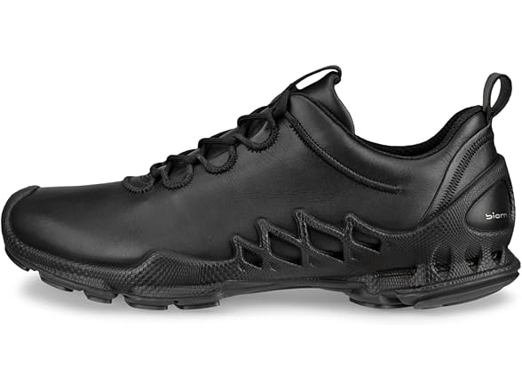 Ecco Biom Aex Men's Shoe