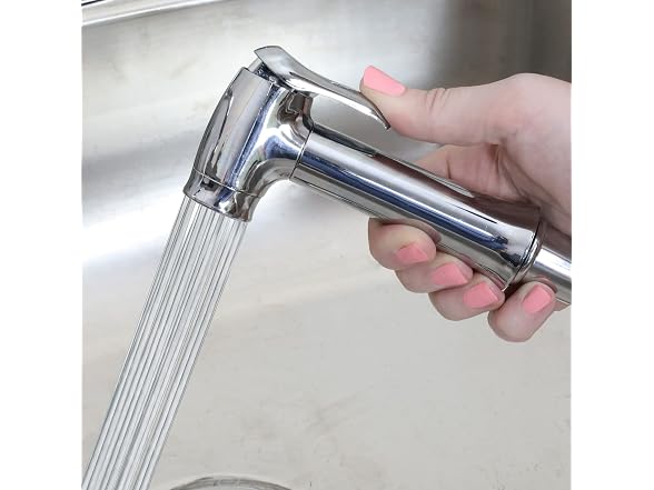 Danco Kitchen Sink Side Sprayer, Chrome