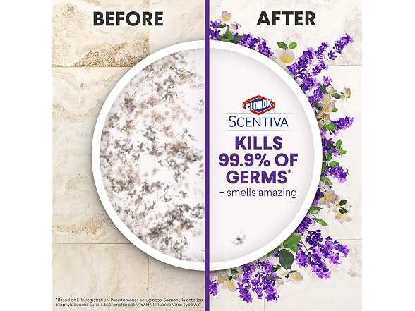 Clorox Disinfecting Wipes Clorox Scentiva