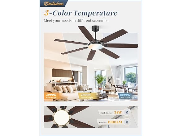 Fanbulous Black 62” Ceiling Fan with Lights