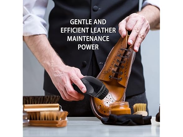 Electric Shoe Shine Kit