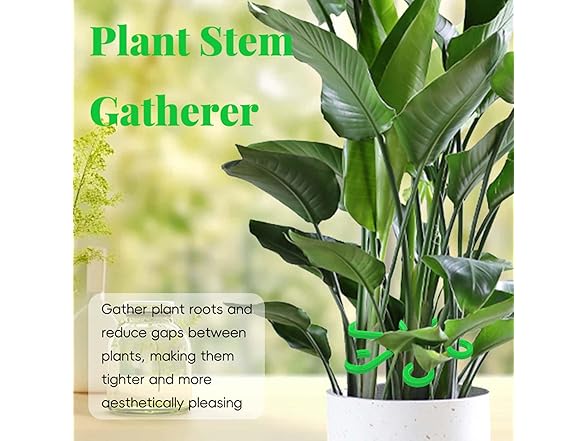 TENDAWYP 12Pcs Plant Stem Support