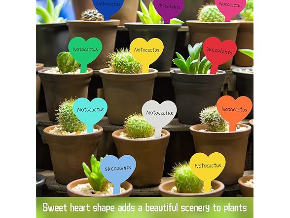 LINSEN-OUTDOORS 100 Pcs 