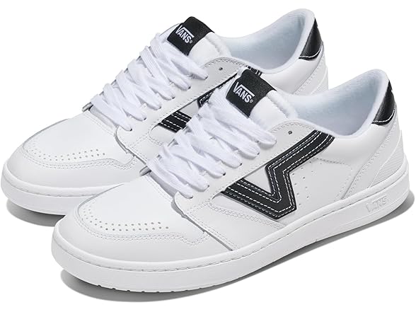 Vans Unisex Lowland 2.0 Shoe