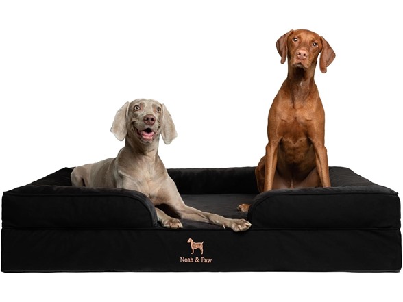 NOAH & PAW Dog/Cat Sofa- XXLarge