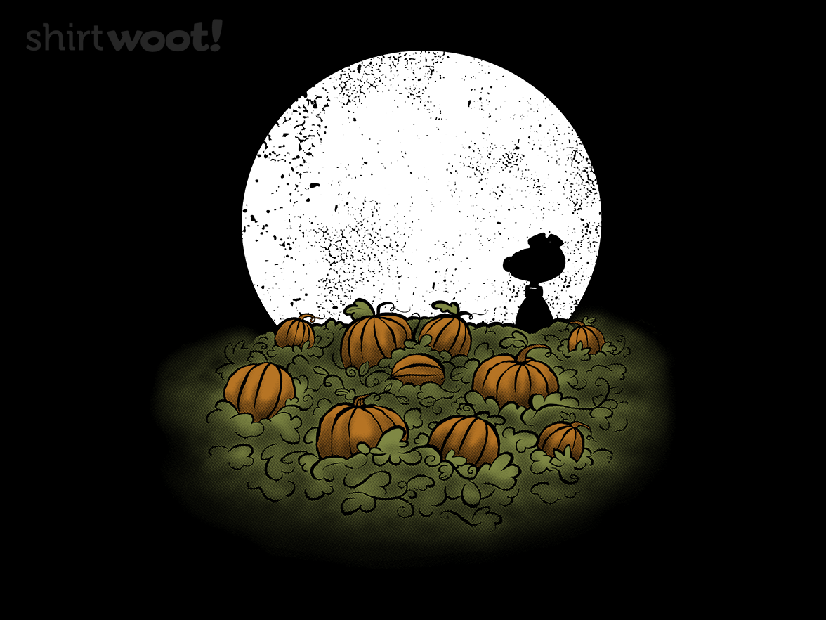 A Most Sincere Pumpkin Patch - Gallery 9