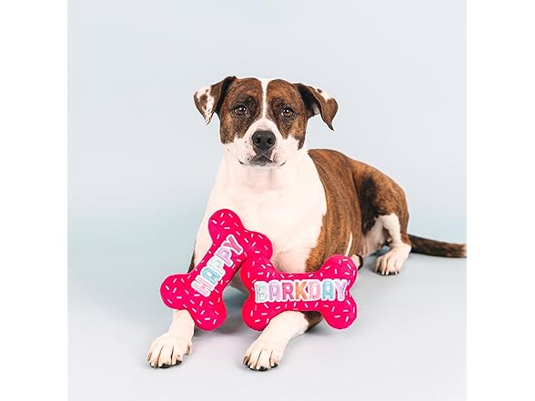 It's My Barkday Plush Dog Toy