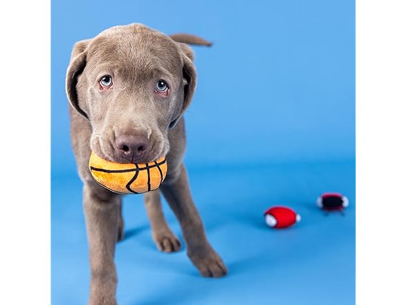 Fringe Studio Plush Dog Toy, 3 Pieces Set, Basket