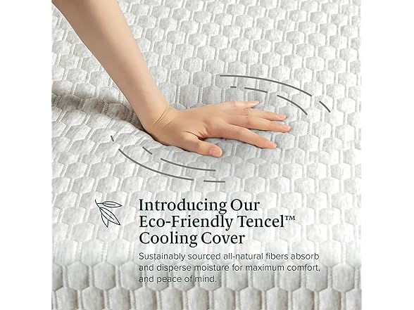 ZINUS 10" Bliss Memory Foam Twin Mattress