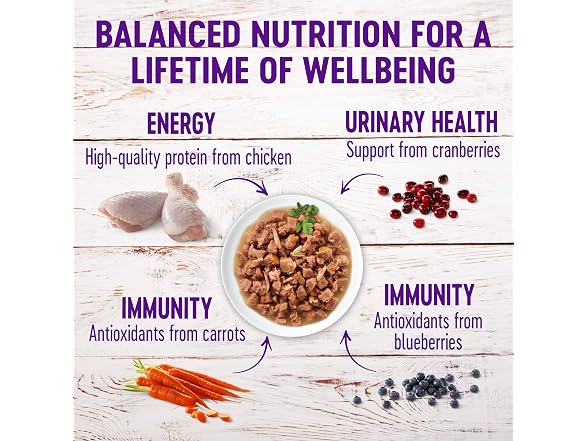 Wellness Natural Pet Food Healthy Indulgence Grain