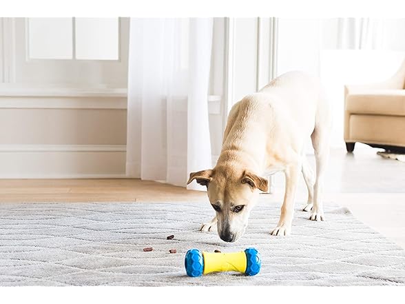 JW Pet 32290 RoboBone Electronic Treat Dispenser