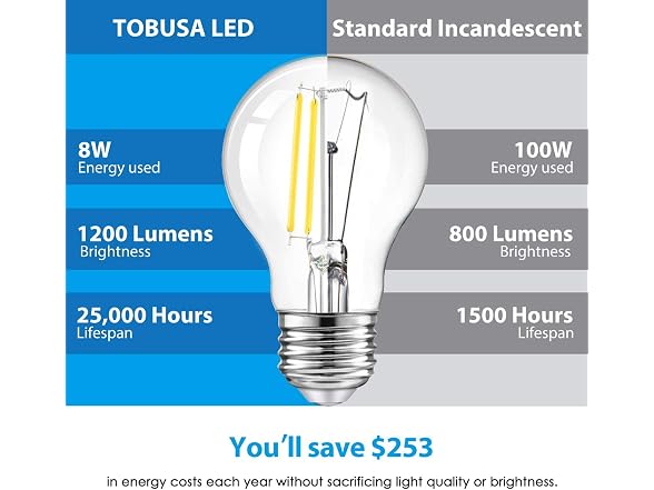 TOBUSA 6 Pack A19 Edison Bulbs 5000K