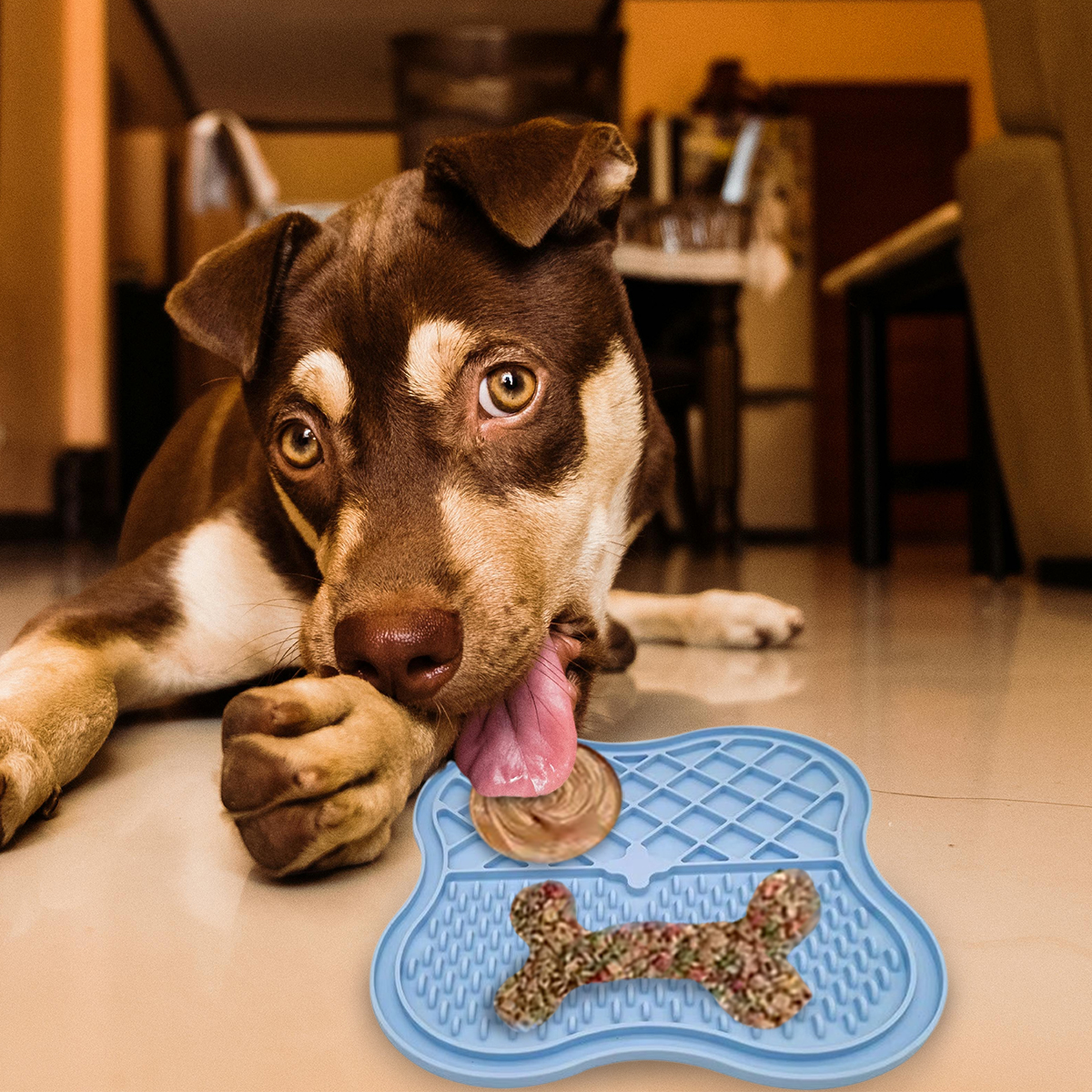 3 P Experts Pet Licking Mat with Suction Cups - Gallery 11