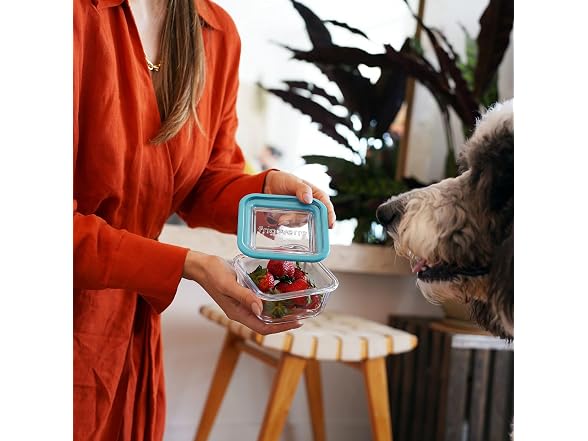 Bormioli Rocco 14.25 oz. Square  Glass  Storage Container 12CT