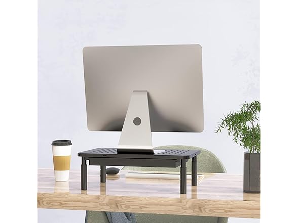 WALI Computer Monitor Stand with Storage