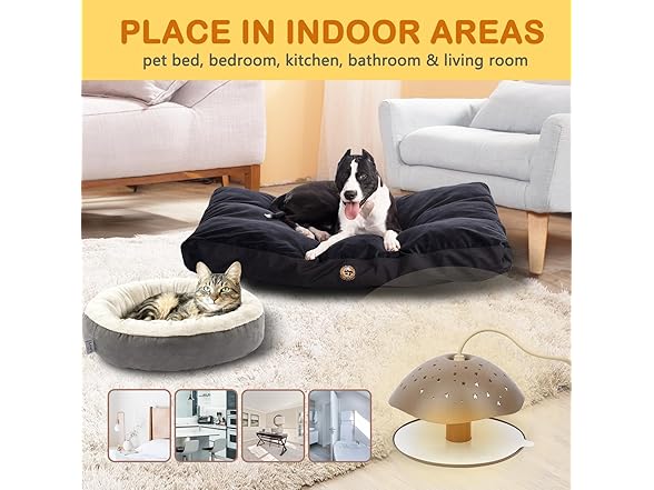 2 Packs of Sticky Flea Traps