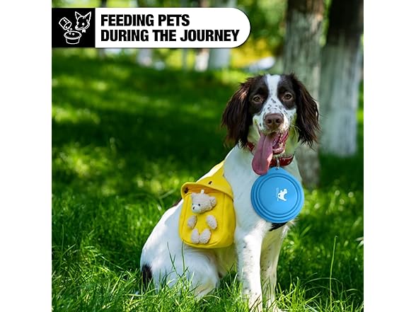 Rest-Eazzzy 2-Pk Silicone Collapsible Dog Bowls Grey, Blue