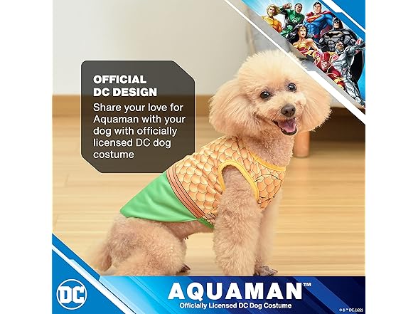 DC Comics Superhero Aquaman Halloween Dog Costume