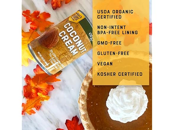 1CT Organic Coconut Cream – Unsweetened