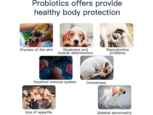 Penkyer Probiotics for Dogs