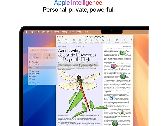 Apple Apple 2025 MacBook Air 13-inch Laptop