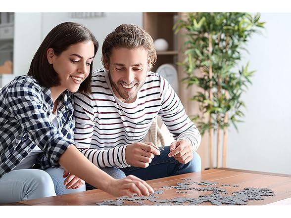 1000 Piece Puzzle for Adults ROSILAND Solomon Flamingos 