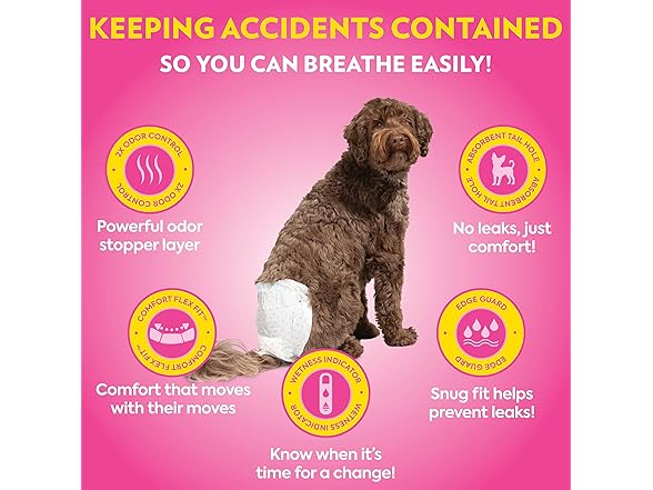 OUT! PetCare Disposable Female Dog Diapers