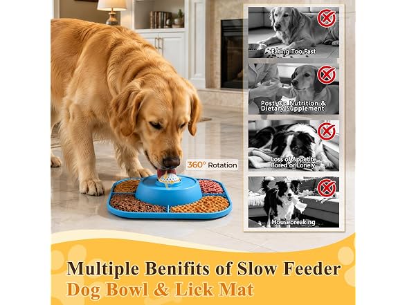 Huttoi Slow Feeder Dog Bowls 3-in-1 