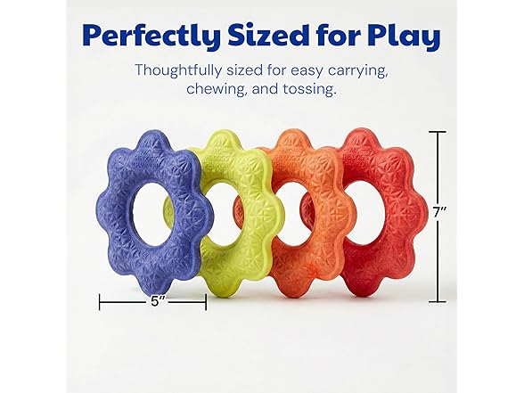 American Kennel Club AKC Sport Wavy Ring