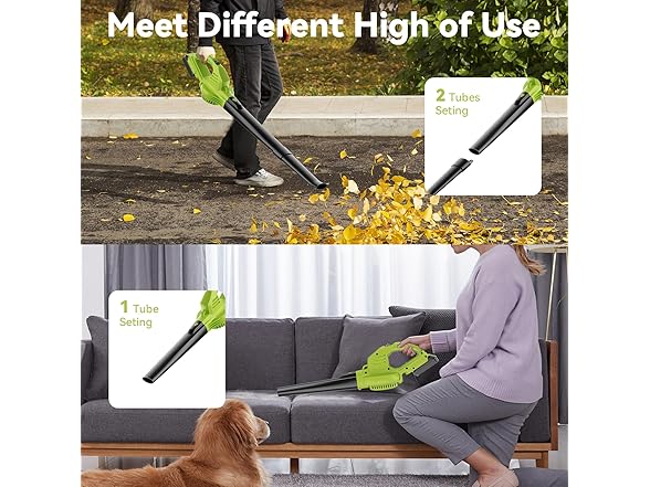 Leaf Blower Cordless with 2 Battery and Charger