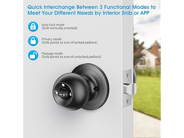 AST Fingerprint Door Knob w/Auto Lock