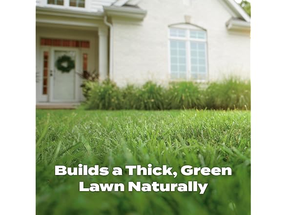 Scotts Natural Lawn Food, Lawn Fertilizer
