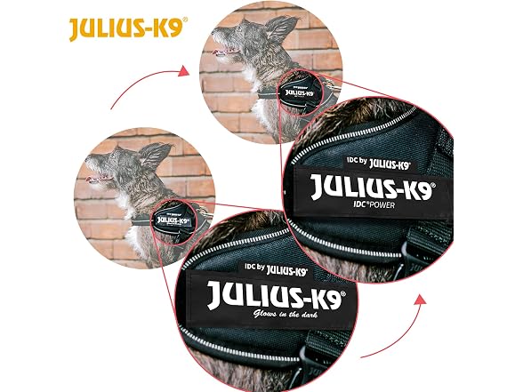 Julius-K9, 16IDC-DG-M, IDC Powerharness, Dog