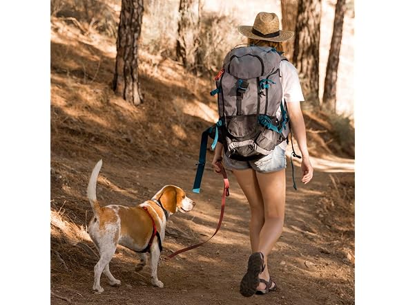 Viper Biothane K9 Working Dog Leash Waterpro