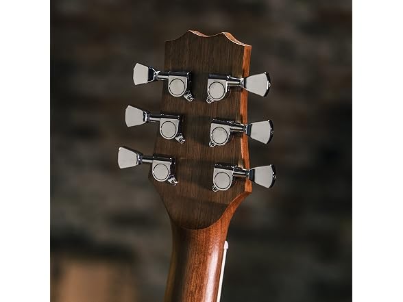 Peavey Delta Woods DW-2 Solid Top