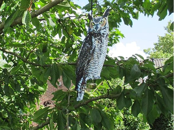 Esschert Design FB142 Owl Scare Crows De