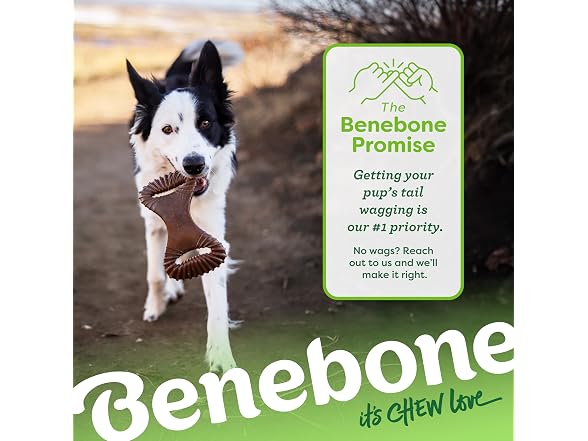 Benebone Benebone Dental Durable Dog Chew Toy