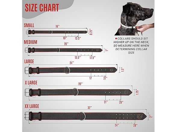 Riparo Adjustable Leather Dog Collar