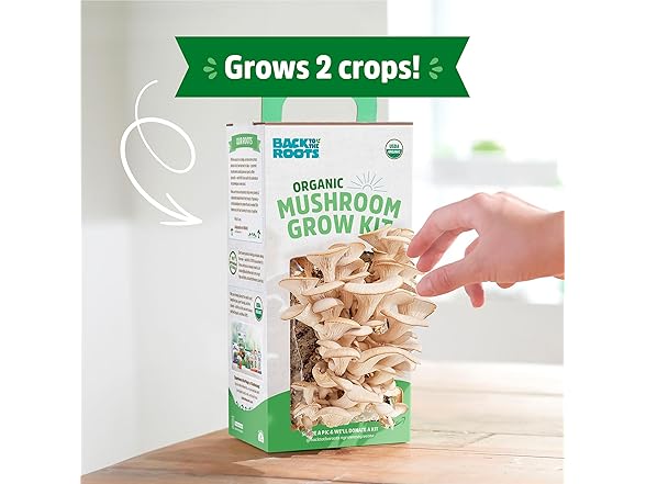 Back to the Roots Organic Mushroom Grow Kit 3-Pack