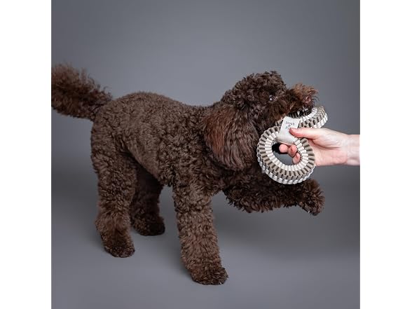 NOAH & PAW Luxury Dog Toy, Dog Rope Toy- Double Ring, Beige