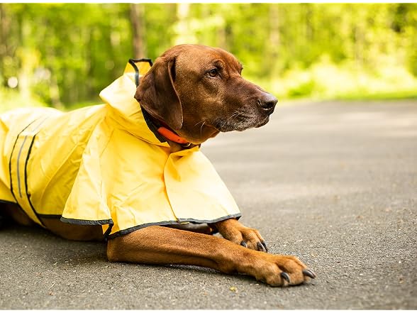 Fashion Pet SPOT Rainy Days Slicker