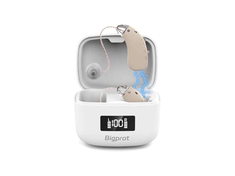 Bigprot Rechargeable Hearing Aids